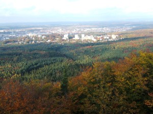Putzfrau in Kaiserslautern finden
