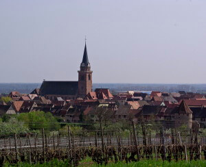 Putzfrau in Bergheim finden!