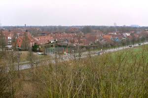 Putzfrau in Norderstedt finden!